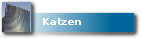  Katzen