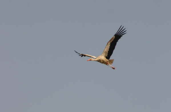 Abflug