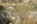 R�mische Siedlung Bewohner