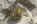 R�mische Siedlung Bewohner