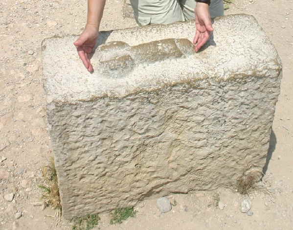 neidisch