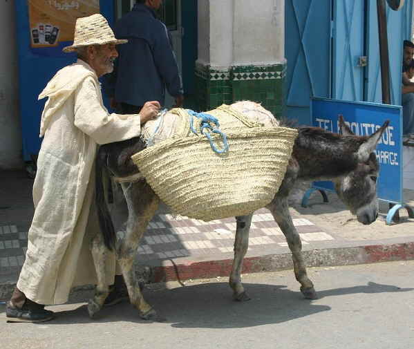 Transportmittel No 1