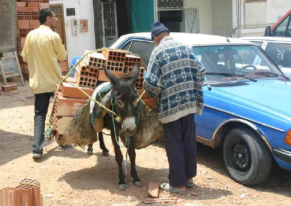Transportmittel No 1
