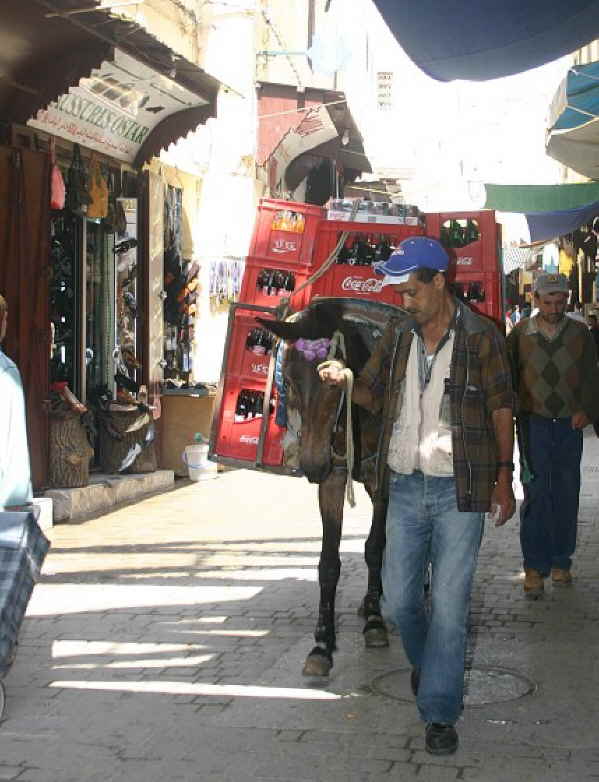 Fes