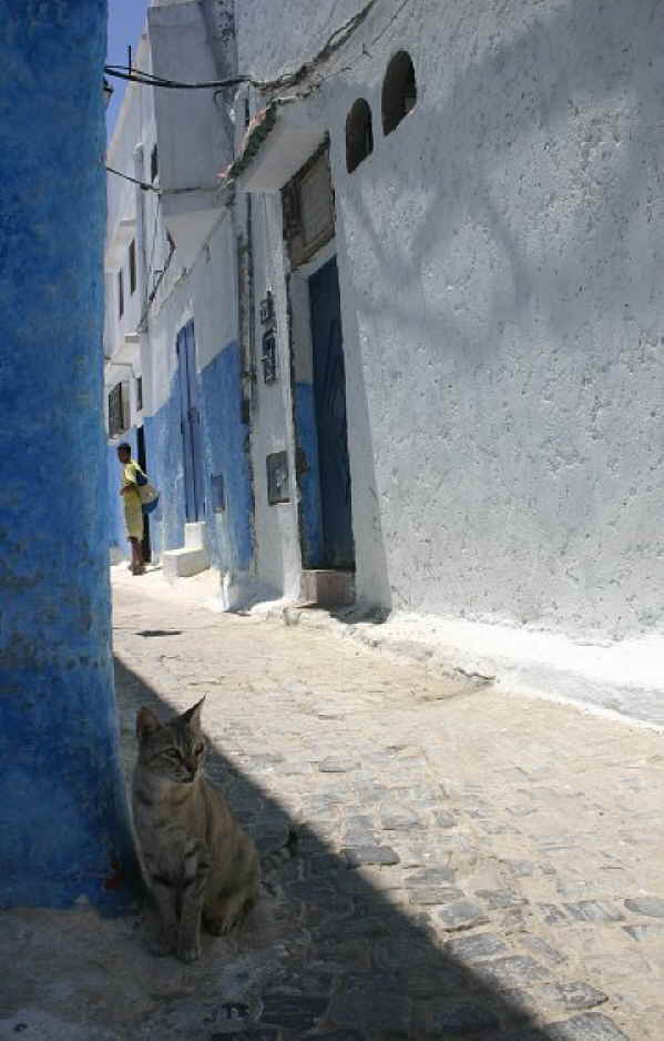 Rabat